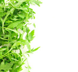 fresh farm arugula on a white background