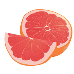 Realistic citrus image. Red oranges fruits and slices isolated on white background. Grapefruit