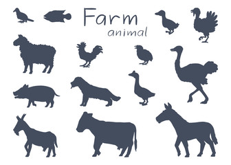vector illustration of farm animal. hand drawn collection.