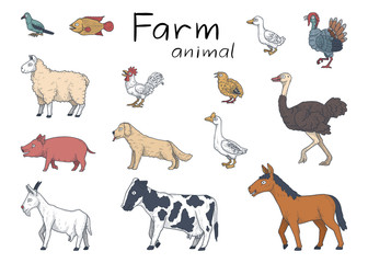 vector illustration of farm animal. hand drawn collection.
