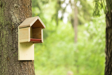 Garden bird feeder in the forest