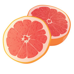 Realistic citrus image. Red oranges fruits and slices isolated on white background. Grapefruit