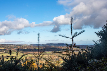 view of the mountains from the forest