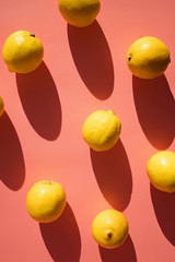 Composition with lemons on pink background in natural sunlight with hard shadows,