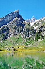 Sommer am Seealpsee, Alpstein, Ostschweiz