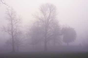 Fototapeta na wymiar London foggy parks, 