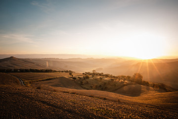 sunset over the field
