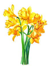 bouquet of yellow daffodil flowers