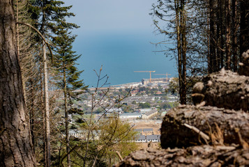 sea view from the forest