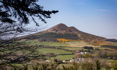 mountain landscape with trees