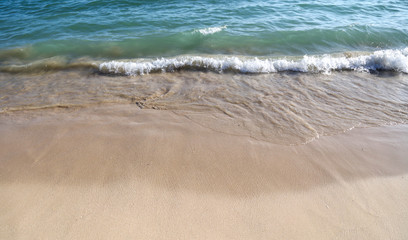 Fototapeta na wymiar Sandy coast near the sea