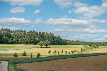 Obraz premium Baumgrundstück mit Obstbäumen im Frühjahr