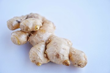 Organic fresh ginger root on white background with blue light tone