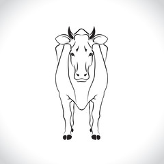 vector of an cow body design isolated on the white background. Cow body Logo.