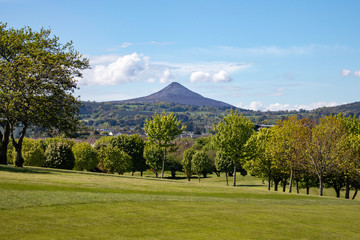 golf course in the morning