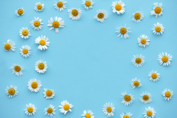 Daisy pattern. Round frame from  summer chamomile flowers on blue background. Flat lay. Top view.