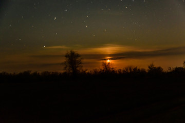 Landscape with the trees silhouettes and night sky with many stars