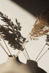 Dry pampas grass / reed in stylish vase. Shadows on the wall. Silhouette in sun light. Minimal...