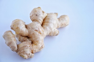 Organic fresh ginger root on white background with blue light tone
