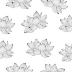 seamless floral background with lotus flower in pencil drawing, simple and elegant floral pattern for fabric, wrapping projects or backgrounds