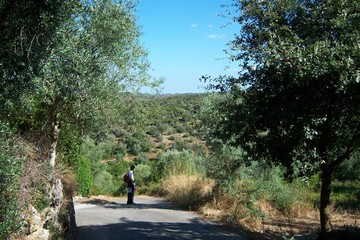 Obraz premium A Piedi