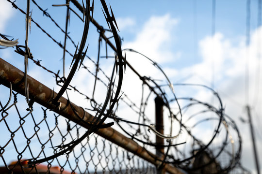 Close up on barbed concertina wire atop a chainlink fence