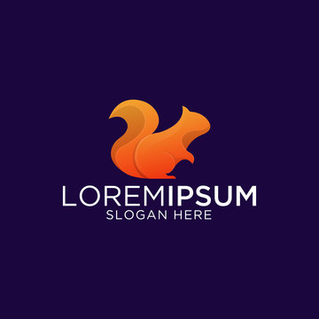 awesome modern squirrel premium logo template ready to use