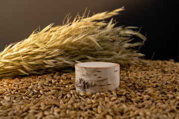 Barley beans. Grains of malt close-up. Barley on sacking background. Food and agriculture concept.
