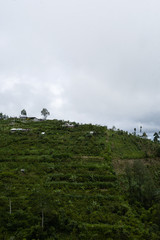 road in the mountains view from top
