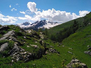 mountain landscape in the alps very green high altitude, paysage de montagne vert haute altitude...