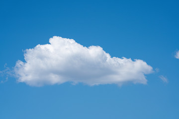 Naklejka na ściany i meble blue sky cloud bird