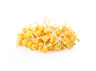 Peas sprout on white background