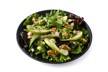 Fresh Waldorf salad with lettuce, green apples, walnuts and celery isolated on white background