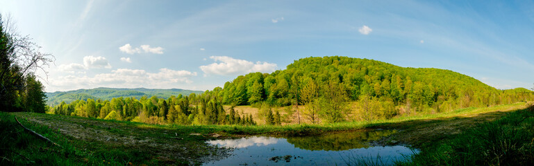 Beautiful rural summer landscape with forest, blue sky and white clouds, panorama. spring landscape with panoramic views of meadow and mountains