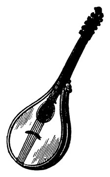 Cittern, vintage illustration.