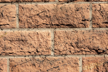 Texture of brick wall with dry branches