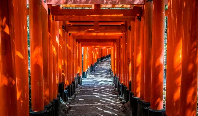 Fotobehang Torii Gates 京都 伏見稲荷 鳥居 ~ Fushimi Inari Shrine, thousands of vermilion torii gates, Kyoto, Japan ~  © 拓也 神崎
