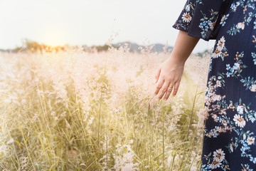 Close up of woman palm sliding through the flowers in the field on sunny day, beautiful woman, bohemian outfit, indie style, summer vacation, sunny, having fun, positive mood, romantic