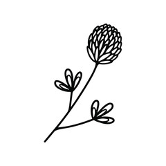 Clover flower on a white background. Black and white outline abstract illustration of clover closeup. Isolated single flower for print, postcard, coloring, poster.

