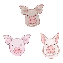 Vector Cartoon Set of Pig Faces