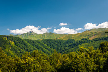 Fototapeta premium Mountain scenery in a warm sunny summer day. Stara planina, Bulgaria