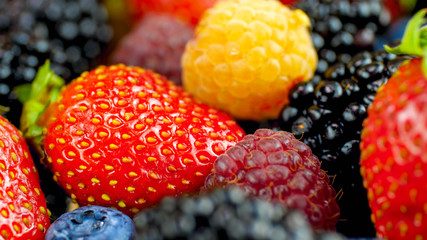 Macro image of strawberries, blueberries, raspberries and blackberries.