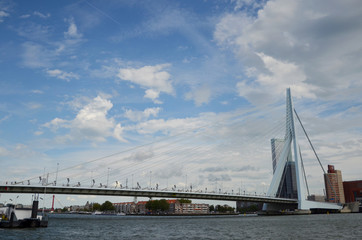 Fototapeta na wymiar Rotterdam iconic bridge, Erasmus Bridge. Rotterdam is a major port city in the Dutch province of South Holland. 