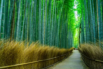 Poster Japan Kyoto Arashiyama Bamboo Forest Path ~ Arashiyama Bamboo Forest, de populairste toeristische bestemmingen van Kyoto ~ © 拓也 神崎