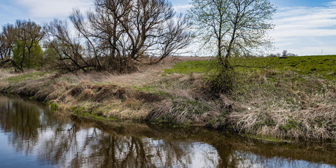 Gentle banks of a small river