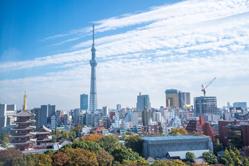 Tokyo skytree, Japan - November 14 2019, Scene with Tourists at Nakamise shopping street in Sensoji Temple, popular places in Tokyo.