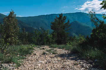 A picturesque view of a hiking path in the French Alps mountains on a sunny summer day (Puget-Theniers, Alpes-Maritimes, Provence, France)