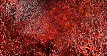 System many small capillaries branch out of the large blood vessels into the circulatory system for the transportation of blood to different parts In the body.  disease hemorrhagic stroke. 3D render.