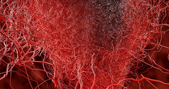 System many small capillaries branch out of the large blood vessels into the circulatory system for the transportation of blood to different parts In the body.  disease hemorrhagic stroke. 3D render.