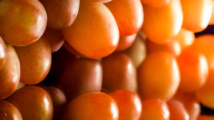 Closeup photo of red grape bunch against bright sun light